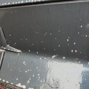 polestar-2-ppf
