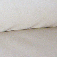 leder-fleck