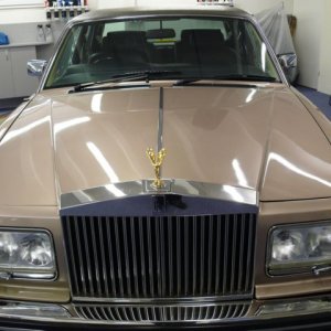 Schimmel im Rolls-Royce Silver Spirit